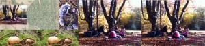 epping collage