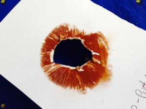spore print